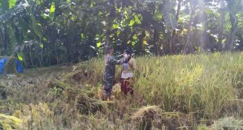  Berbagi Masker Disawah, Satgas TMMD 110 Bojonegoro Kampanye Prokes Pada Petani